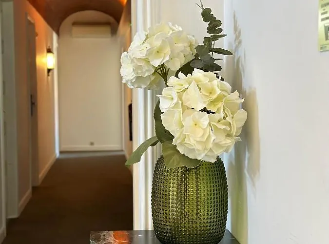 Отель Joao Padeiro